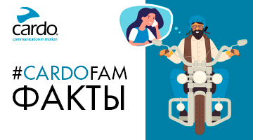 «Эй, Кардо, попроси моего спутника выйти за меня замуж...»