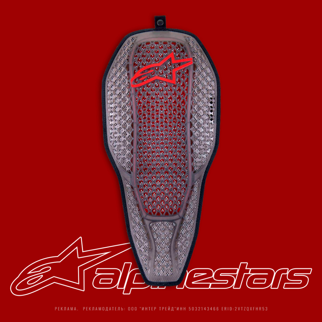 ALPINESTARS Nucleon Flex Pro - Защита спины в мотокуртку Level 2