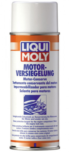 LIQUI  MOLY Спрей для консервации двигателя (0,3 л)