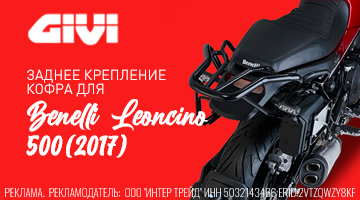 Хвост львёнка