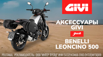 Взбодрить львёнка