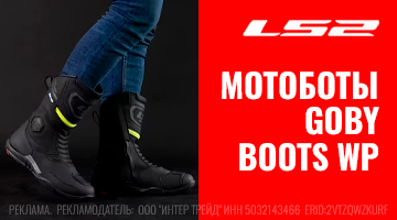 Какие наши Гоби?